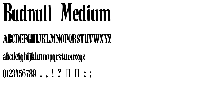 BudNull Medium font